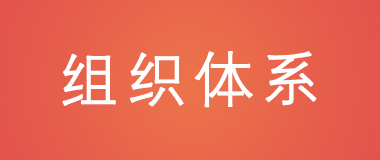 组织体系